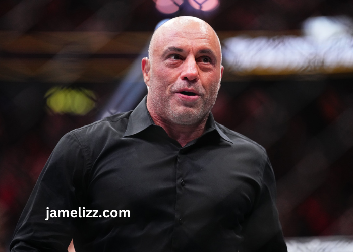 what is joe rogan's net worth