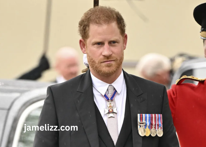 prince harry duke of sussex net worth