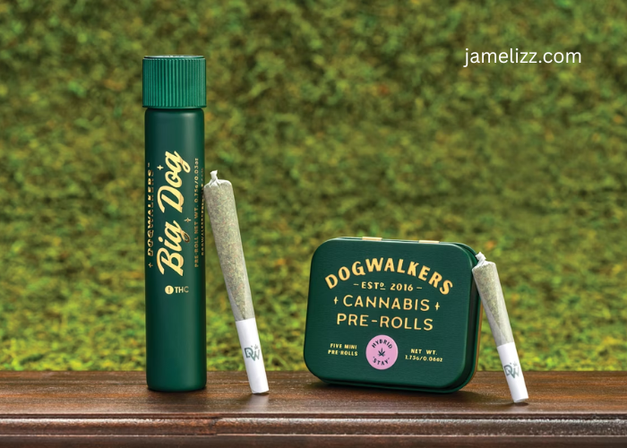 Pre-Roll Packaging: Trends Every Cannabis Producer Should Know